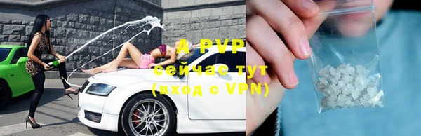 гидра Магас