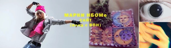 гашик Видное