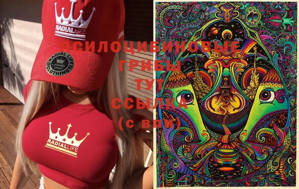MDMA Медвежьегорск