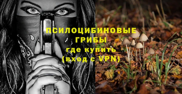 бошки Мегион