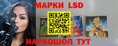 мяу мяу мука Гатчина