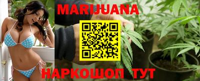 мяу мяу мука Гатчина