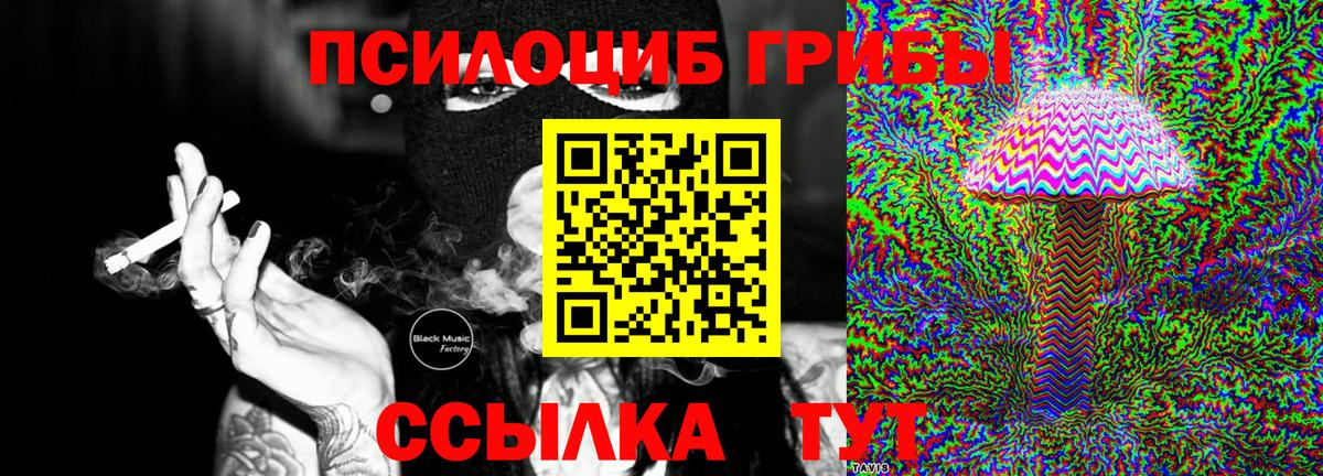 Галлюциногенные грибы MAGIC MUSHROOMS Каменка