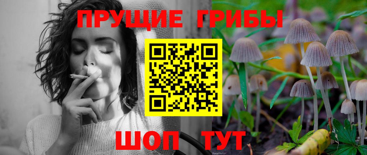 где продают наркотики  Вход с VPN  Каменка  Псилоцибиновые грибы мицелий 