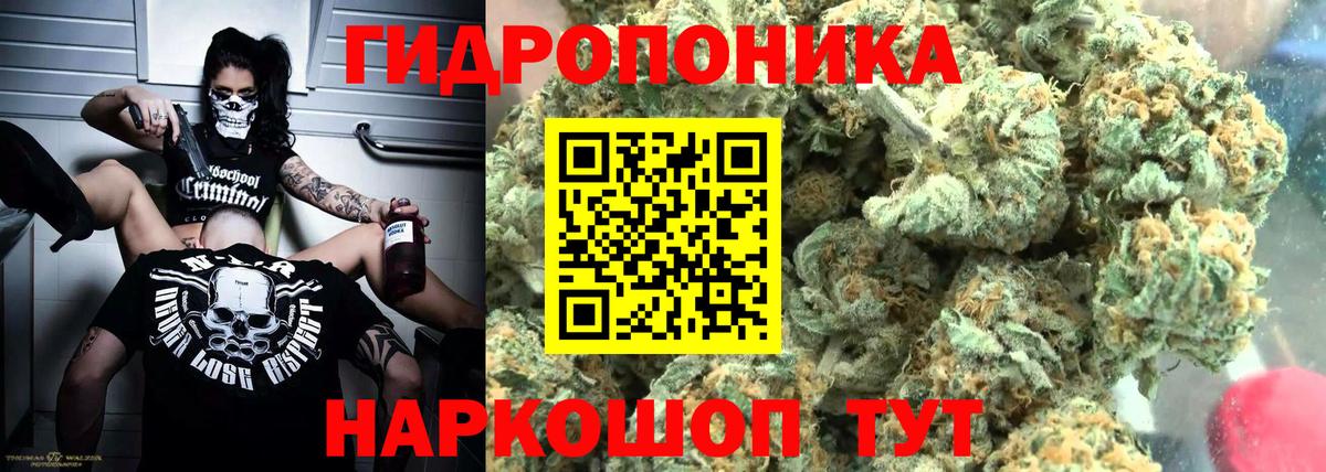 Каменка  Бошки марихуана SATIVA & INDICA  Вход с VPN  МАРИХУАНА Ganja  Марихуана Amnesia 